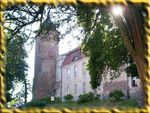 widwin