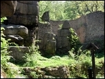 Ruiny zamku Bolczw w Janowicach Wielkich