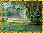 Brodnica