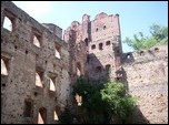 Drzewica ruiny zamku