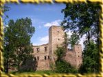 Drzewica