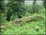 Zamek Woek, Kobiernice