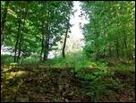 Zamek Woek, Kobiernice