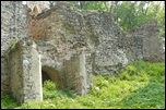 Lipa ruiny zamku